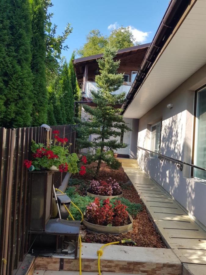 Casa Negoiu Leilighet Târgu-Mureş Eksteriør bilde